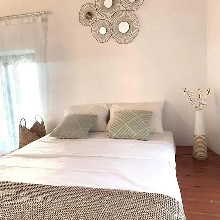 Anemone Traditional House